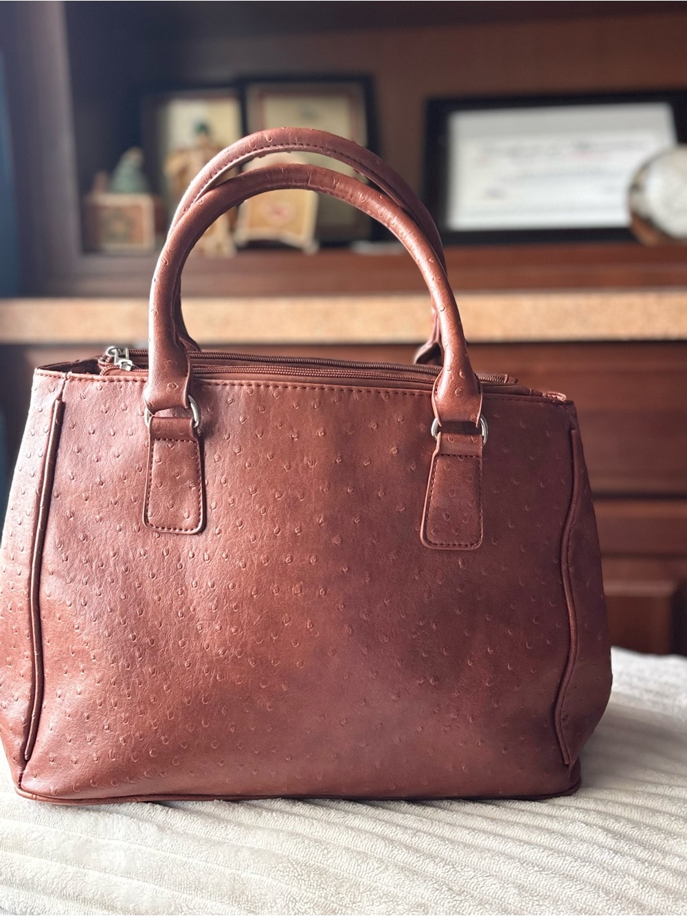 FASH Brown Women’s Satchel Handbag